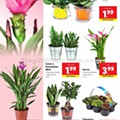 Antevisão Folheto LIDL Promoções de 27 julho a 2 agosto d48.jpg